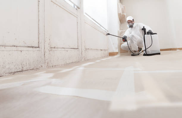 24/7 Emergency Mold Remediation experts in Monsey, NY